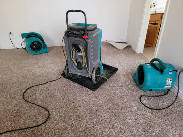 Best Sewage cleanup and water damage restoration  in Menlo Park, CA