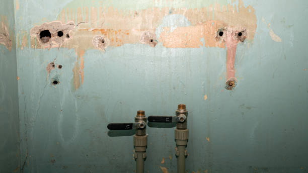 Best Water damage cleanup near me  in Menlo Park, CA